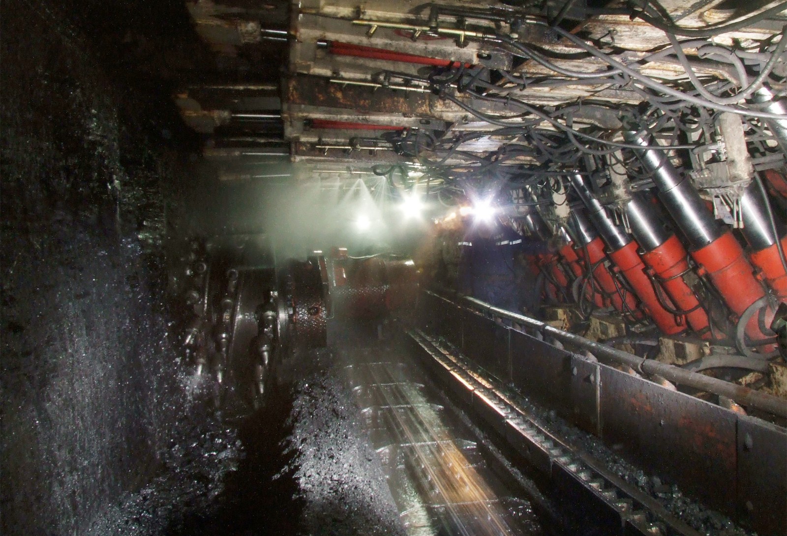 1554973265235779.jpg timg (3).jpg